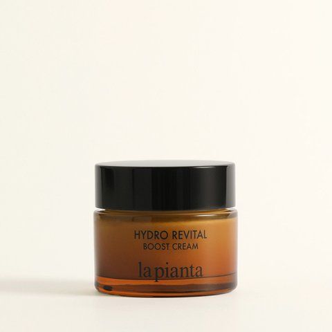 Оновлювальний антивіковий крем з PDRN и EGF LA PIANTA Hydro Revital Boost Cream - 50 мл lp0035 фото